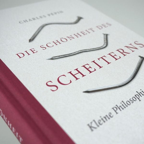 Produktbild: Die Sch&ouml;nheit des Scheiterns