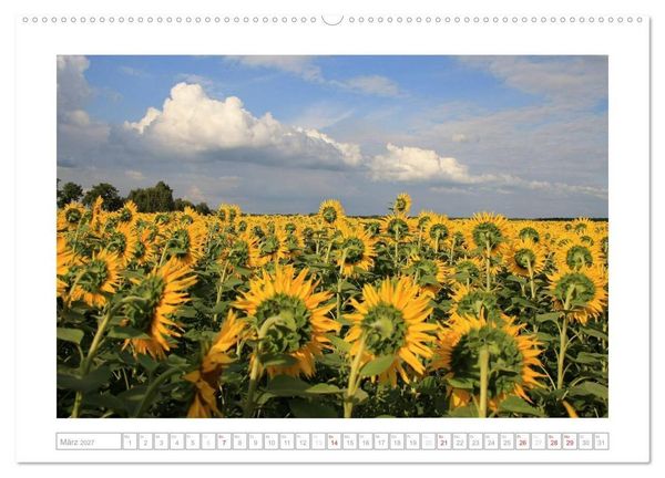 Produktbild: Sonnentage 2027 (hochwertiger Premium Wandkalender 2027 DIN A2 quer), Kunstdruck in Hochglanz