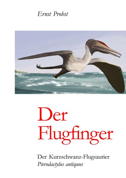 Produktbild: Der Flugfinger