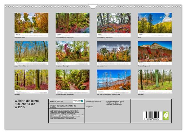 Produktbild: W&auml;lder: die letzte Zuflucht f&uuml;r die Wildnis (Wandkalender 2026 DIN A3 quer), CALVENDO Monatskalender