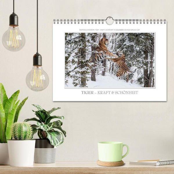 Produktbild: Emotionale Momente: Tiger - Kraft & Sch&ouml;nheit. / CH-Version (Wandkalender 2026 DIN A4 quer), CALVENDO Monatskalender
