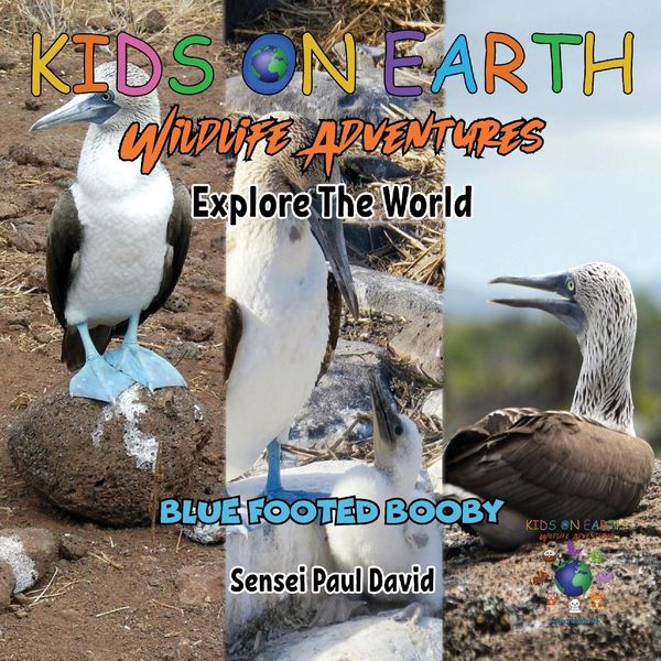 Produktbild: KIDS ON EARTH Wildlife Adventures - Explore The World Blue Footed Booby - Ecuador