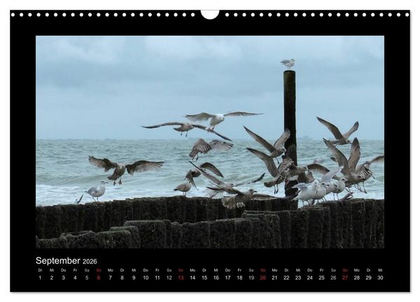 Produktbild: An der Nordsee (Wandkalender 2026 DIN A3 quer), CALVENDO Monatskalender