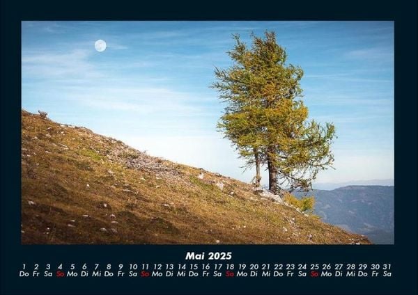 Produktbild: B&auml;ume 2025 Fotokalender DIN A4