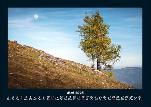 Produktbild: B&auml;ume 2025 Fotokalender DIN A4