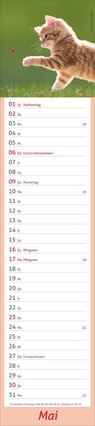 Produktbild: times&more Katzen Langplaner 2027