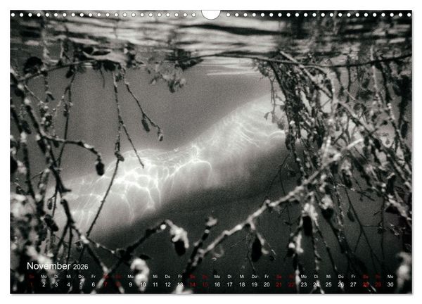 Produktbild: FREIWASSERLUST (Wandkalender 2026 DIN A3 quer), CALVENDO Monatskalender