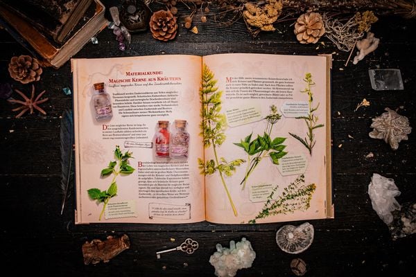Produktbild: Zauberst&auml;be und ihre Geheimnisse