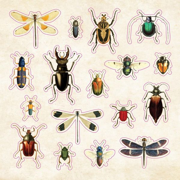 Produktbild: The Sticker Book of Curiosities (Over 750 Stickers)