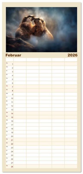 Produktbild: Familienplaner 2026 - Alpenpl&uuml;sch - Mit Murmeltieren durchs Jahr mit 5 Spalten (Wandkalender, 21 x 45 cm) CALVENDO
