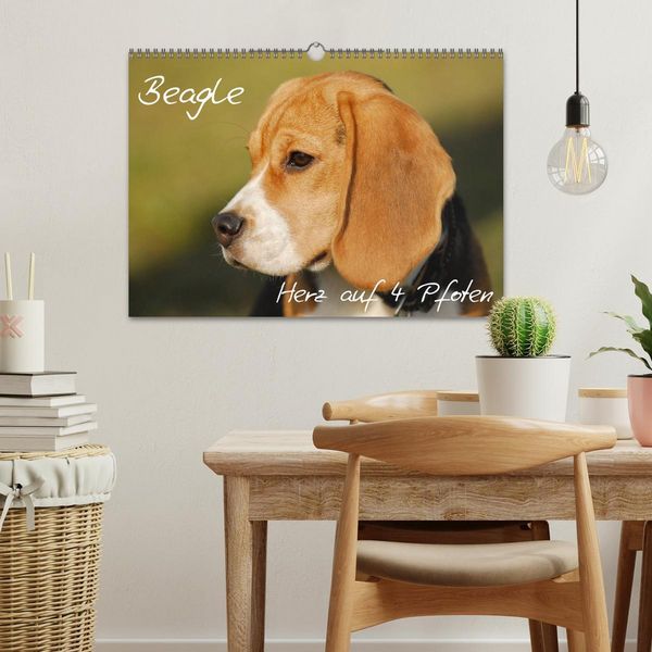 Produktbild: Beagle - Herz auf 4 Pfoten (Wandkalender 2026 DIN A3 quer), CALVENDO Monatskalender