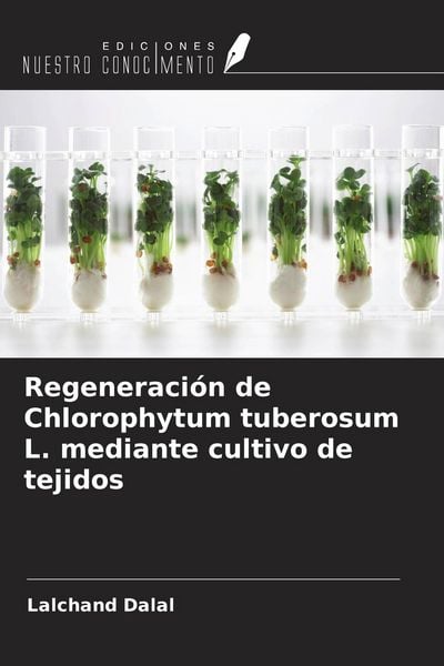 Produktbild: Regeneraci&oacute;n de Chlorophytum tuberosum L. mediante cultivo de tejidos