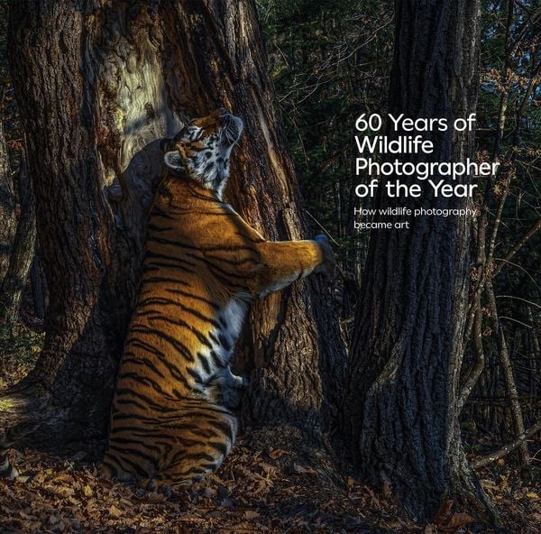 Produktbild: 60 Years of Wildlife Photographer of the Year