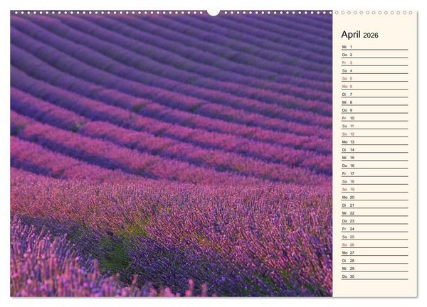 Produktbild: Lavendel (hochwertiger Premium Wandkalender 2026 DIN A2 quer), Kunstdruck in Hochglanz