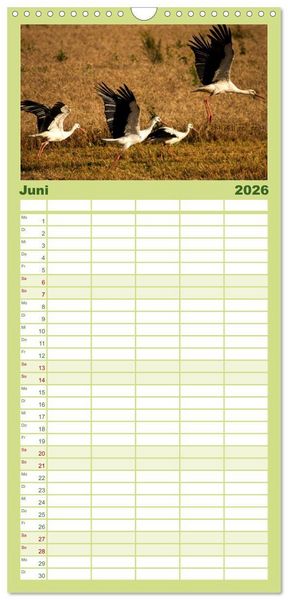 Produktbild: Familienplaner 2026 - Lettland - Streifz&uuml;ge durch das mittlere Baltikum mit 5 Spalten (Wandkalender, 21 x 45 cm) CALVENDO