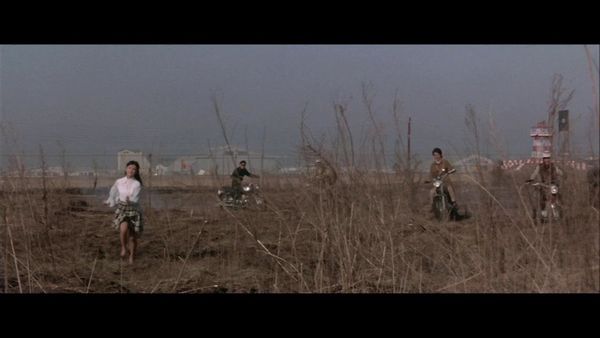 Produktbild: Terror - Die Rocker von Japan - Limitiert auf 1000 St&uuml;ck