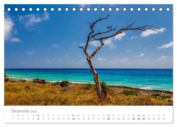 Produktbild: Cuba - Unter der Sonne der Karibik (Tischkalender 2026 DIN A5 quer), CALVENDO Monatskalender