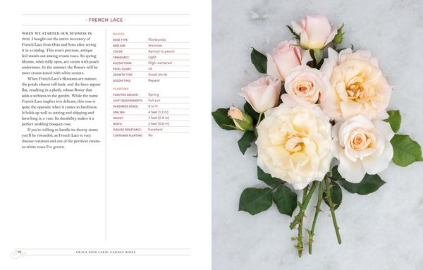 Produktbild: Grace Rose Farm: Garden Roses