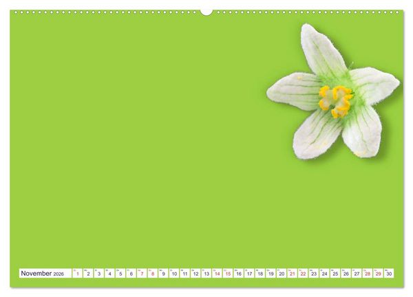 Produktbild: DIY POESIE - BASTELKALENDER (hochwertiger Premium Wandkalender 2026 DIN A2 quer), Kunstdruck in Hochglanz