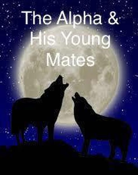 Produktbild: The Alpha & His Young Mates (Rebel Pack, #1)
