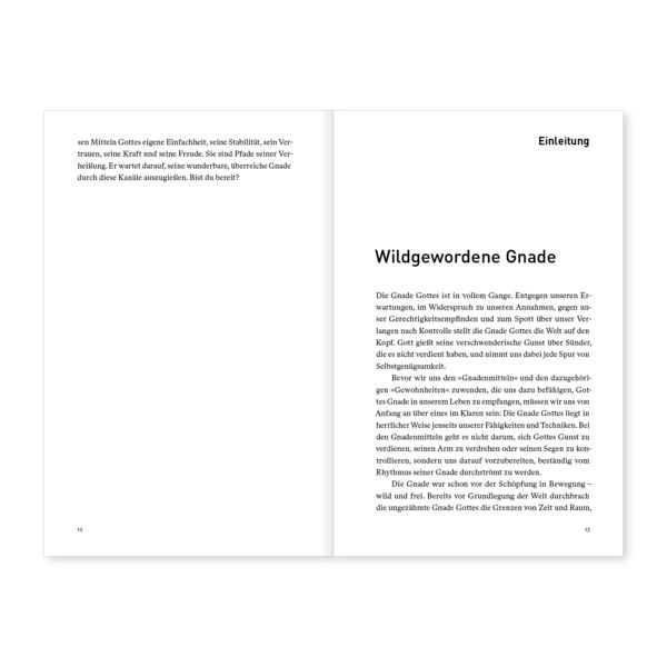 Produktbild: Geistliche Gewohnheiten