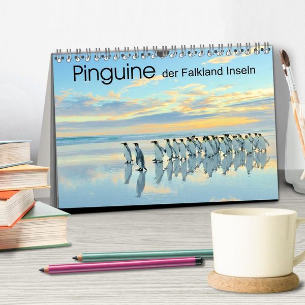 Produktbild: Pinguine der Falkland Inseln (Tischkalender 2026 DIN A5 quer), CALVENDO Monatskalender