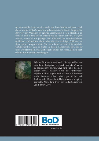 Produktbild: Die Mysterien von Blarney Cove