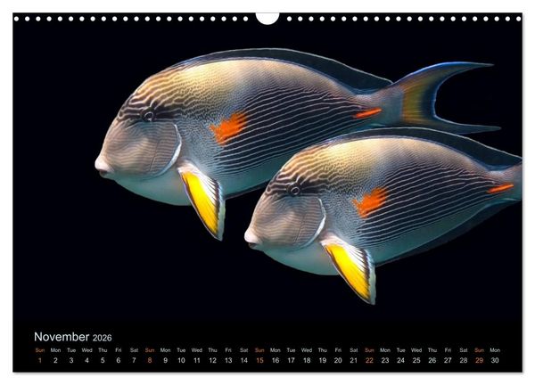 Produktbild: Water Dreams-journey through the sea (Wall Calendar 2026 DIN A3 landscape), CALVENDO 12 Month Wall Calendar