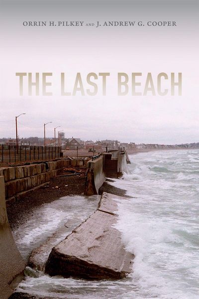 Produktbild: The Last Beach