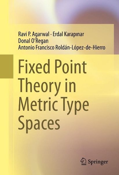 Produktbild: Fixed Point Theory in Metric Type Spaces