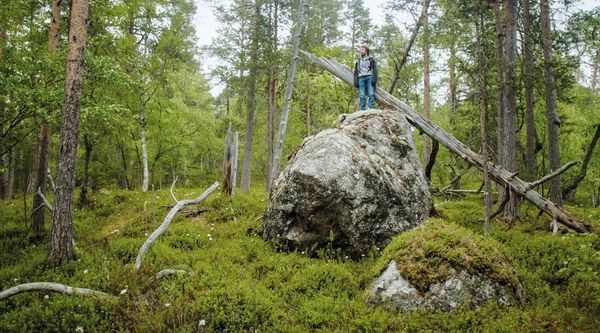 Produktbild: Tics - Mit Tourette nach Lappland