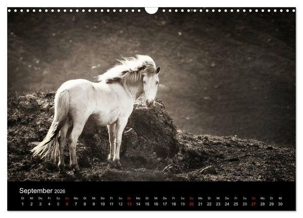 Produktbild: Island - Insel aus Feuer und Eis (Wandkalender 2026 DIN A3 quer), CALVENDO Monatskalender