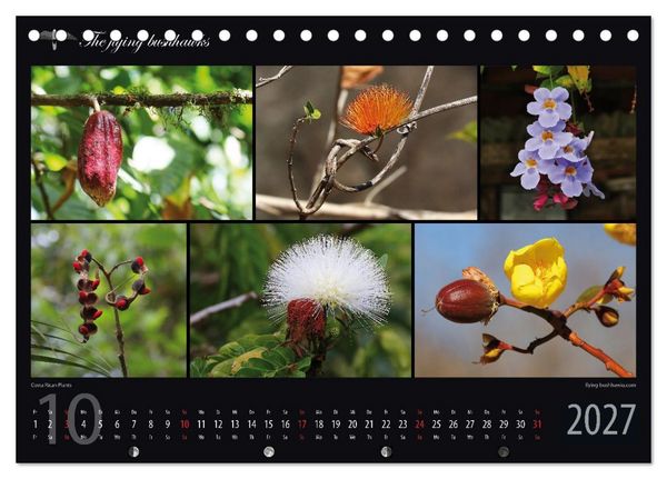 Produktbild: Costa Rica Blickwinkel 2027 (Tischkalender 2027 DIN A5 quer), CALVENDO Monatskalender