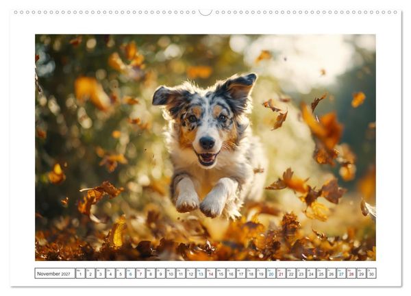 Produktbild: WUFF und WOW (hochwertiger Premium Wandkalender 2027 DIN A2 quer), Kunstdruck in Hochglanz