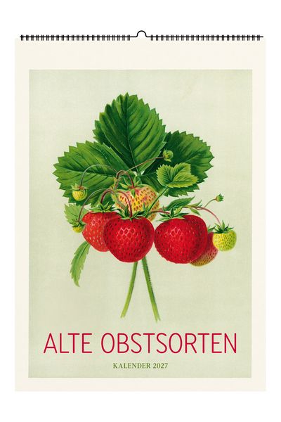 Produktbild: Alte Obstsorten. Wandkalender 2027