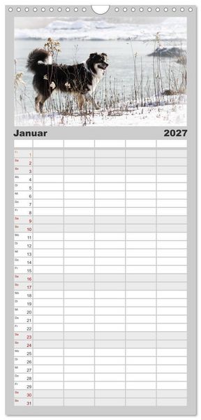 Produktbild: Familienplaner 2027 - Australian Shepherd - Traum auf vier Pfoten mit 5 Spalten (Wandkalender, 21 x 45 cm) CALVENDO