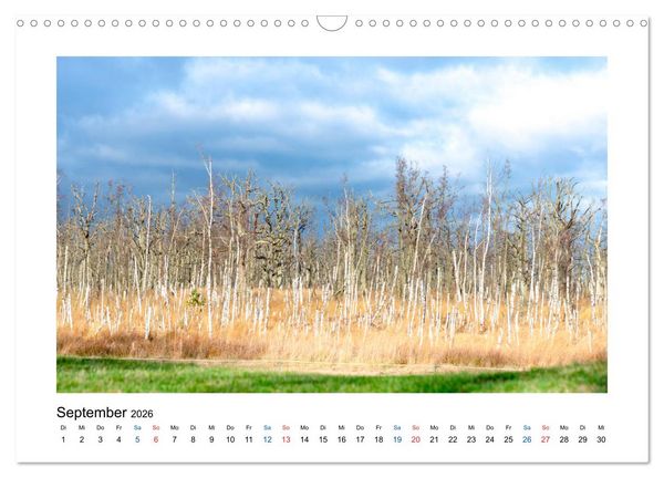Produktbild: Mehr vom Meer: Sehnsuchtskalender f&uuml;r Ostseeliebhaber (Wandkalender 2026 DIN A3 quer), CALVENDO Monatskalender