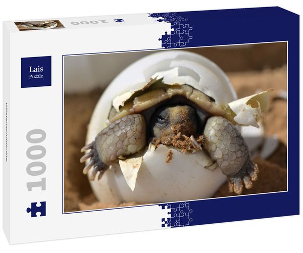 Produktbild: Lais Puzzle W&uuml;stenschildkr&ouml;te 1000 Teile