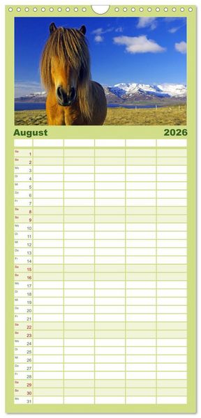 Produktbild: Familienplaner 2026 - Die Pferde Islands mit 5 Spalten (Wandkalender, 21 x 45 cm) CALVENDO