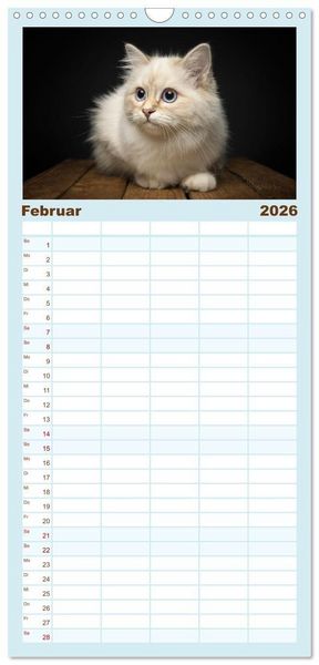 Produktbild: Familienplaner 2026 - Heilige Birma Katzen - Eine Rasse mit traumhaft blauen Augen. mit 5 Spalten (Wandkalender, 21 x 45 cm) CALVENDO