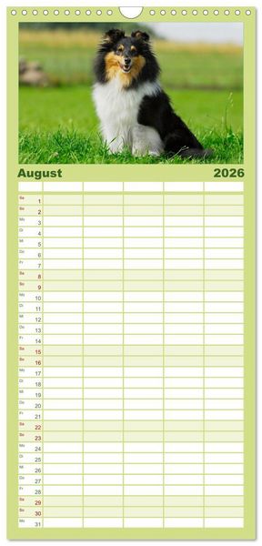 Produktbild: Familienplaner 2026 - Sheltie 2026 mit 5 Spalten (Wandkalender, 21 x 45 cm) CALVENDO
