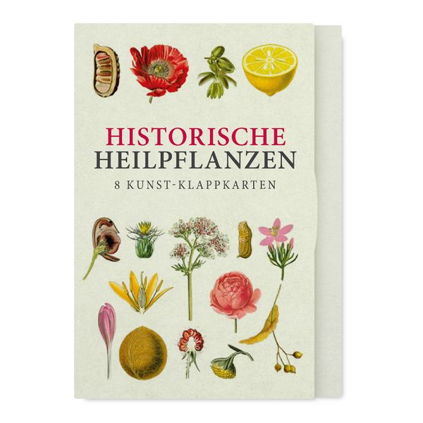 Historische Heilpflanzen – Acht Kunst-Klappkarten, Buch von , Favoritenpresse GmbH, 978-3-96849-206-3
