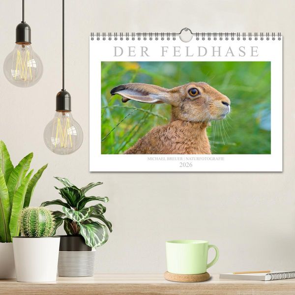 Produktbild: Der Feldhase (Wandkalender 2026 DIN A4 quer), CALVENDO Monatskalender