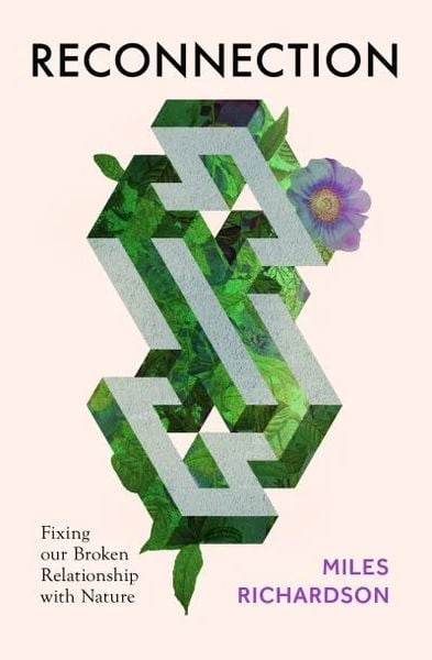 Produktbild: Reconnection