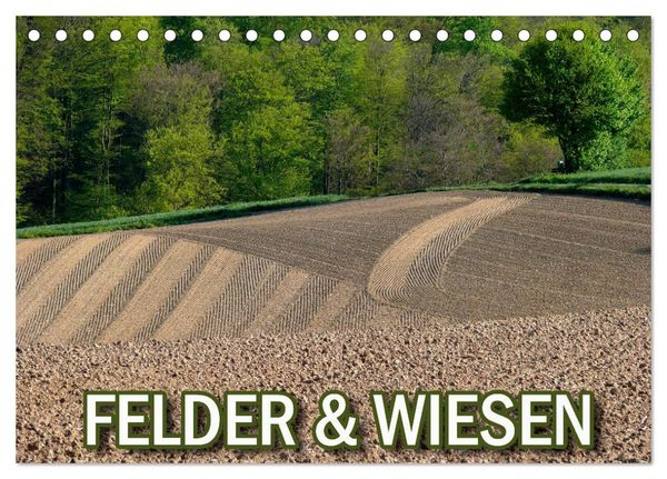 Felder und Wiesen (Tischkalender 2024 DIN A5 quer), CALVENDO Monatskalender