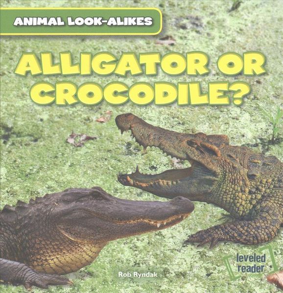 Produktbild: Alligator Or Crocodile