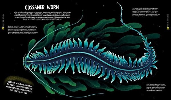 Produktbild: University of Cambridge: Beasts from the Deep