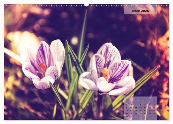 Produktbild: Bl&uuml;ten im Retro-Style (Wandkalender 2026 DIN A2 quer), CALVENDO Monatskalender