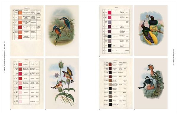 Produktbild: Die Natur der Farben