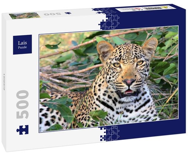 Lais Puzzle Leopard 500 Teile